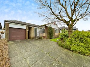 Driveway- click for photo gallery